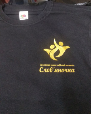 Школьные футболки с логотипом