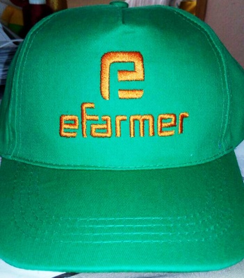 Кепка пятиклинка с вышитым логотипом “Efarmer”