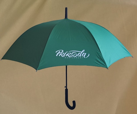 Зеленый зонт премиум класса