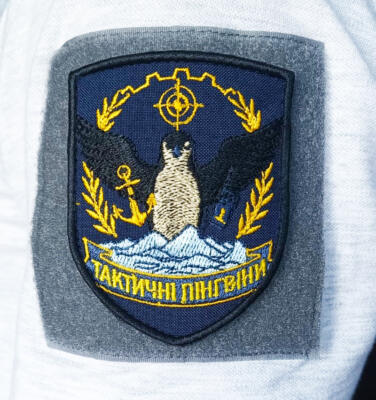 Шеврон с пингвинами